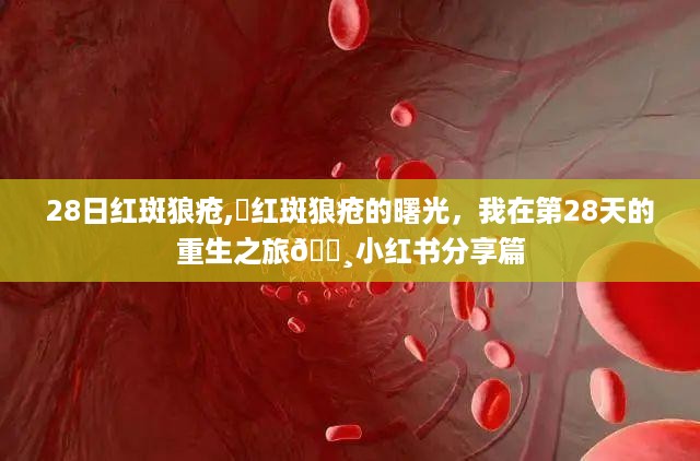 回眸最初 第54页