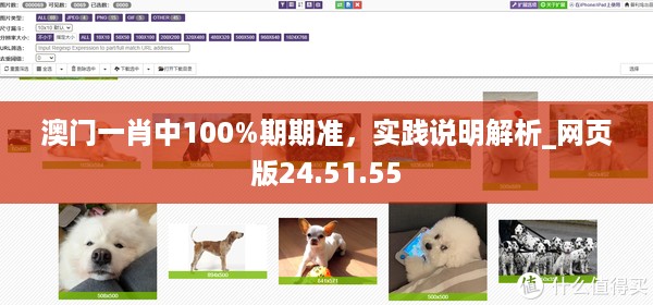 花开无言 第54页