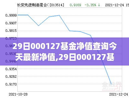 最新动态，掌握29日000127基金净值查询，洞悉投资先机