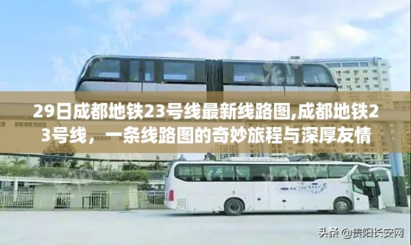 花开无言 第53页
