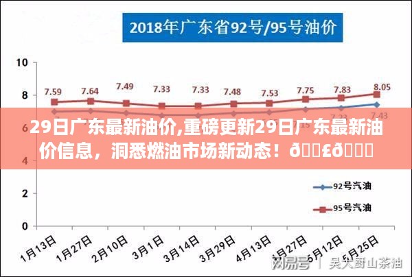 橘虞初梦 第53页