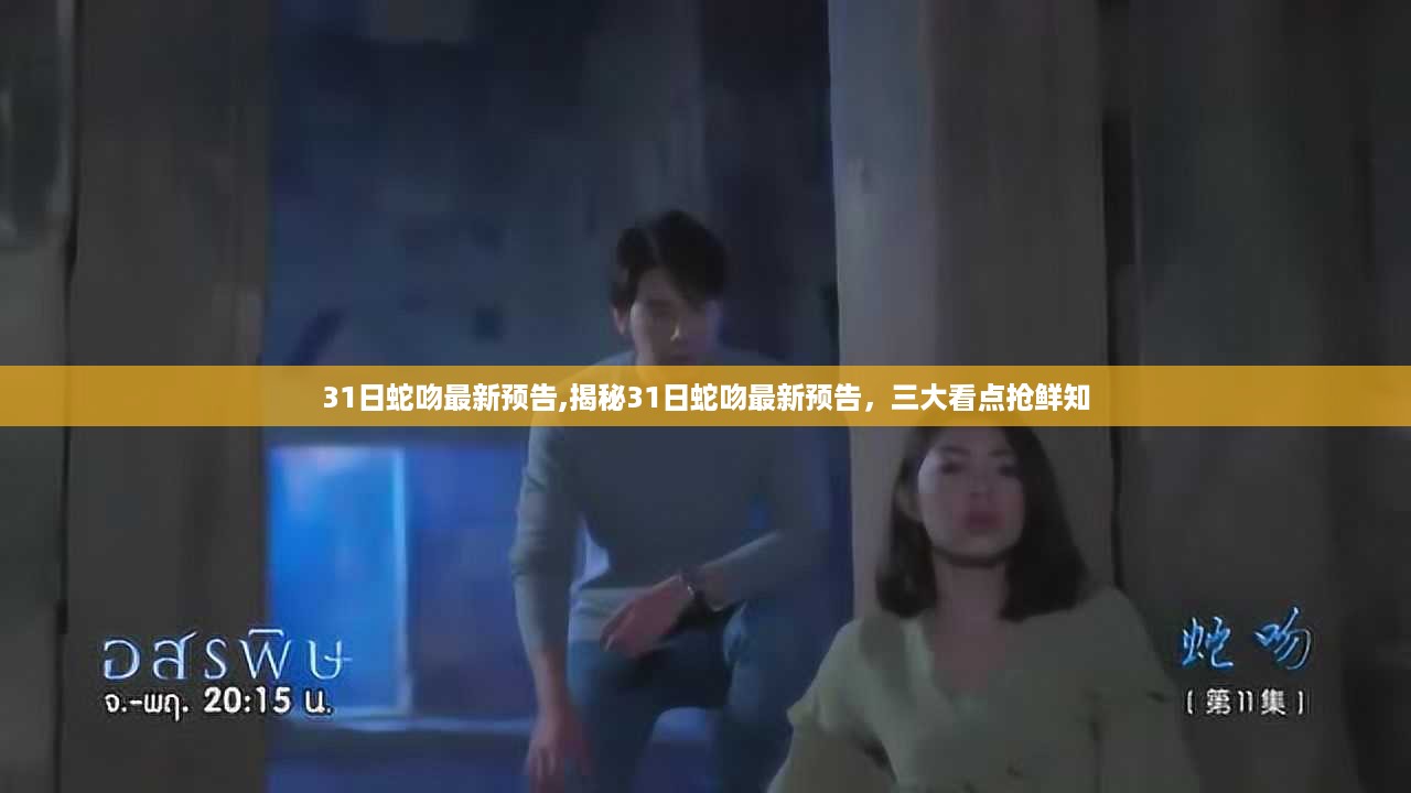 三大看点