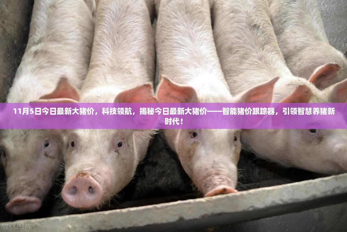 对答如流 第21页