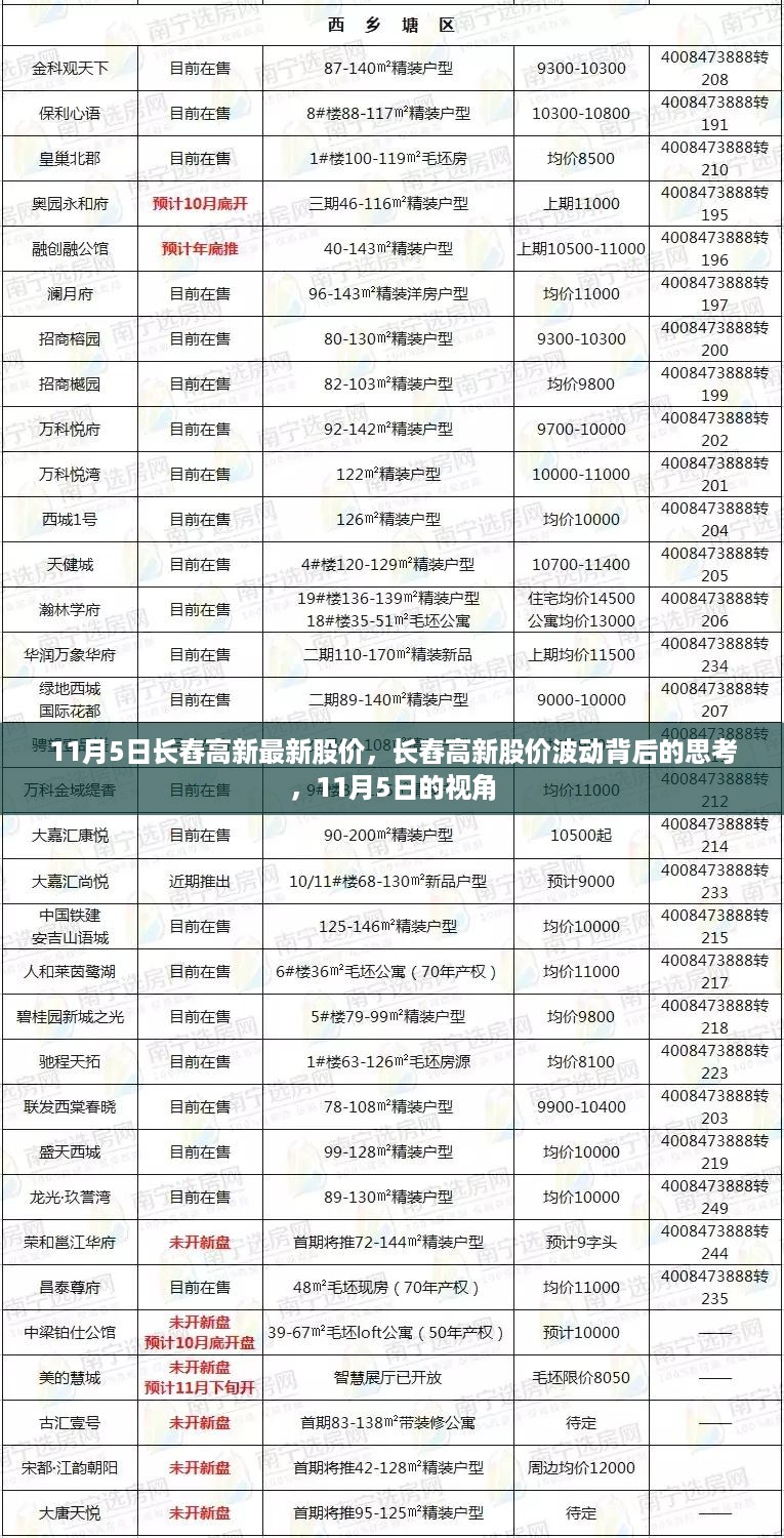 11月5日长舂高新股价观察，波动背后的深度思考