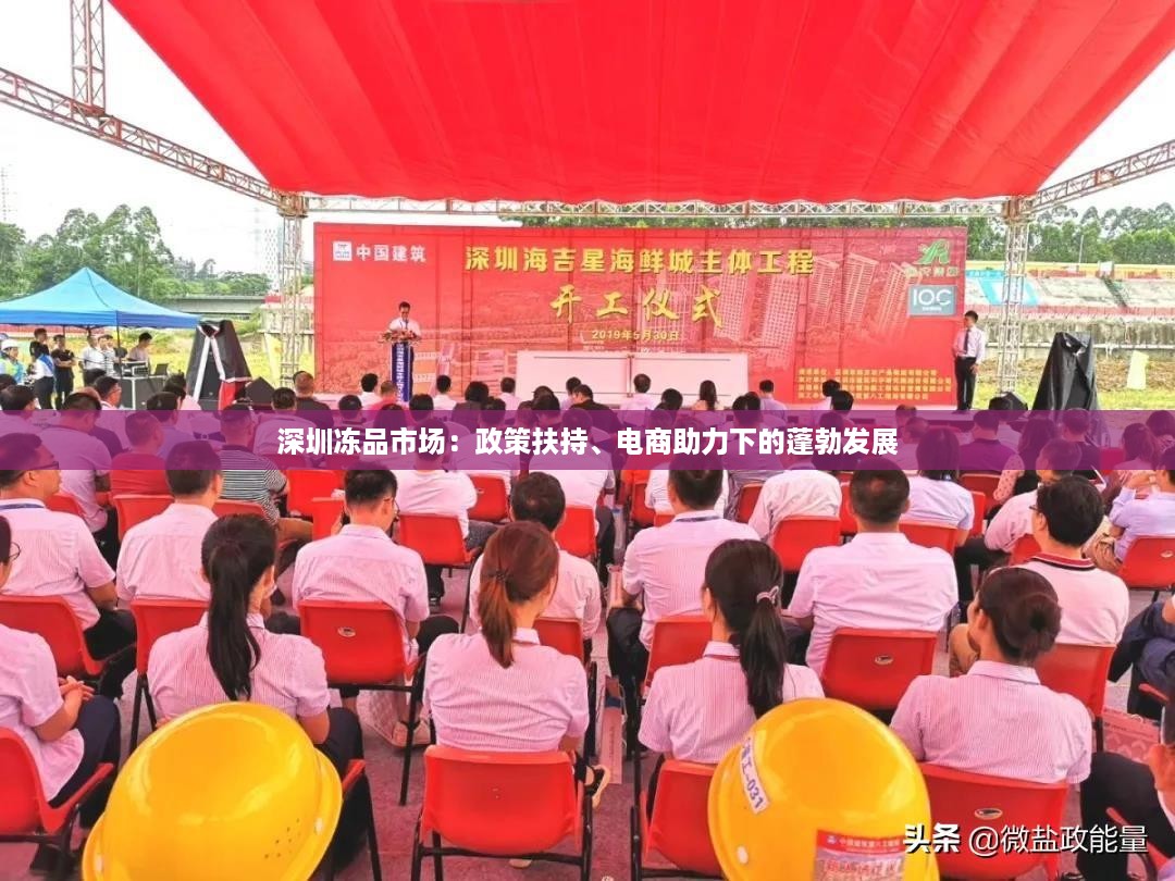 duzhongzhigui 第13页