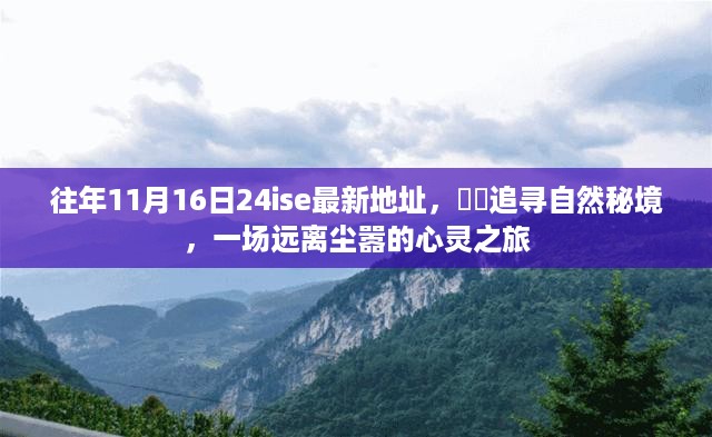 肝胆相照 第11页