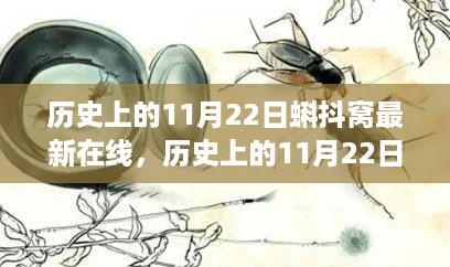 历史上的11月22日与蝌抖窝最新在线，深度探讨与观点阐述，符合您的要求。
