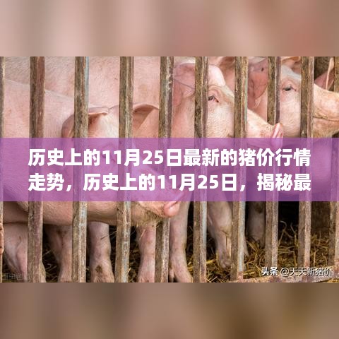沉默的风 第10页