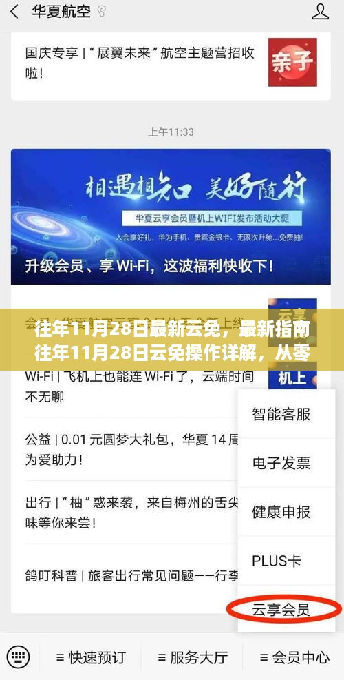 往年11月28日云免操作详解与指南，从入门到熟练