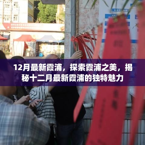 jushiwushuang 第7页