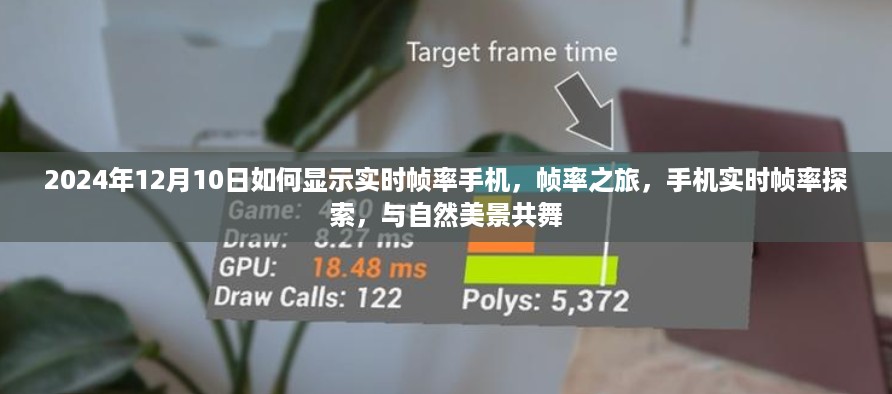 手机实时帧率探索之旅，与美景共舞，帧率跃然眼前