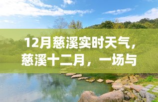niaoyunzhizhen 第5页