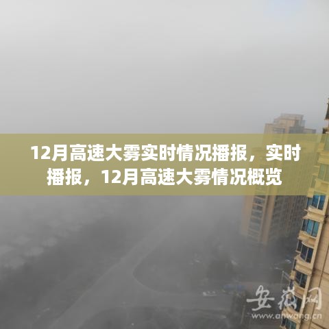 niaoyunzhizhen 第4页