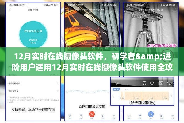 肝胆相照 第4页