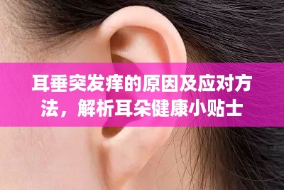 三人成虎 第3页