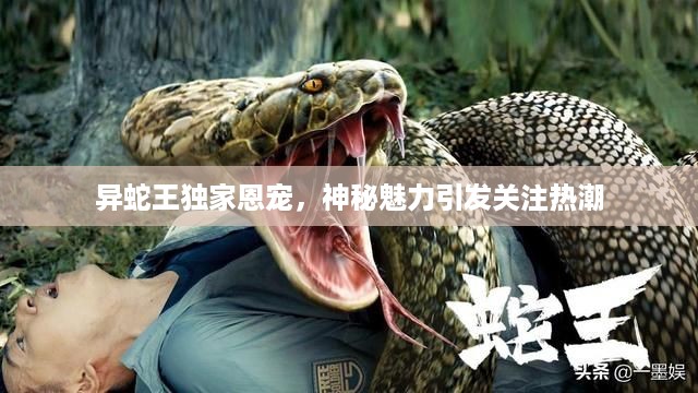 caocaoshoubing 第3页