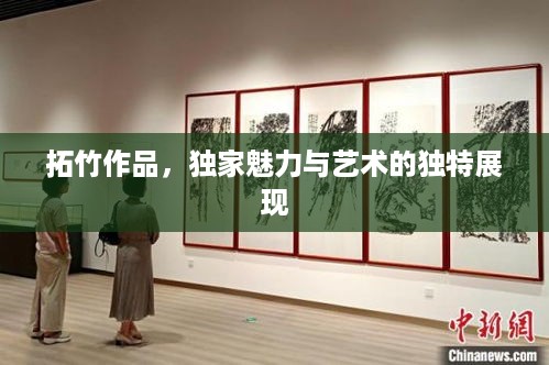 拓竹作品，独家魅力与艺术的独特展现