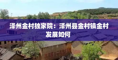泽州金村独家院：泽州县金村镇金村发展如何 