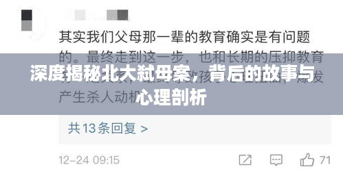 驾轻就熟 第3页