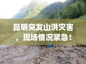 星星打烊 第3页