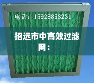 招远市中高效过滤网： 
