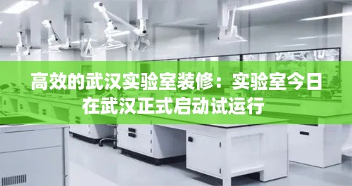 高效的武汉实验室装修：实验室今日在武汉正式启动试运行 