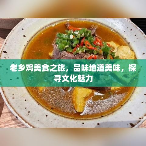 老乡鸡美食之旅，品味地道美味，探寻文化魅力