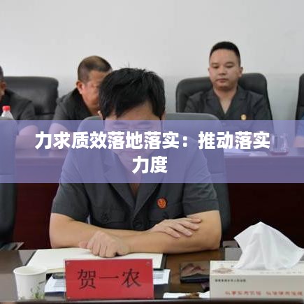 力求质效落地落实：推动落实力度 