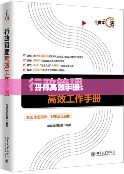 丹丹高效手册： 