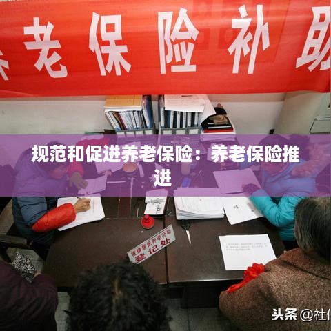 规范和促进养老保险：养老保险推进 