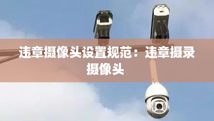 衣无二彩 第2页