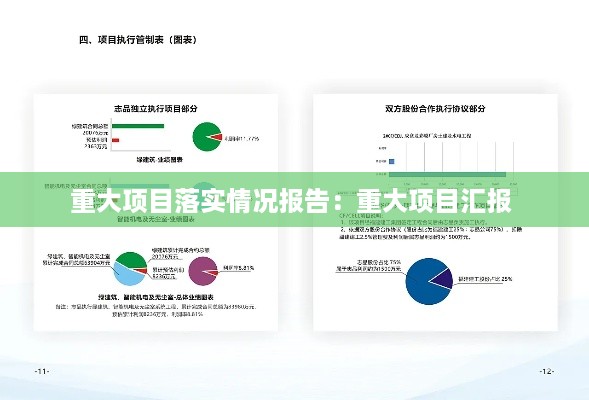 重大项目落实情况报告：重大项目汇报 