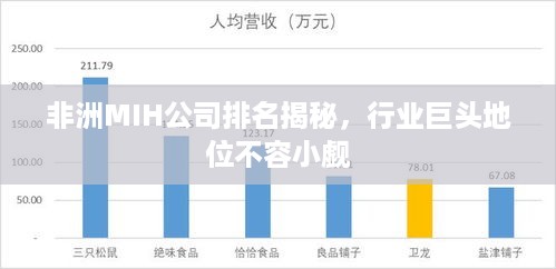 非洲MIH公司排名揭秘，行业巨头地位不容小觑