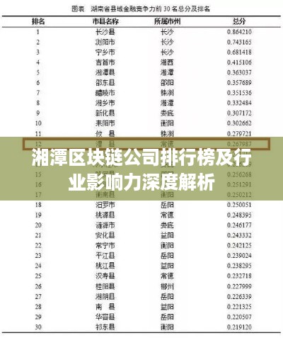 湘潭区块链公司排行榜及行业影响力深度解析