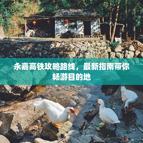存证 第96页