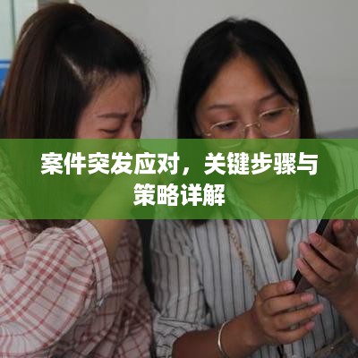 案件突发应对，关键步骤与策略详解