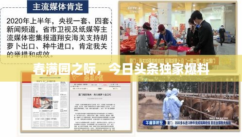 春满园之际，今日头条独家爆料
