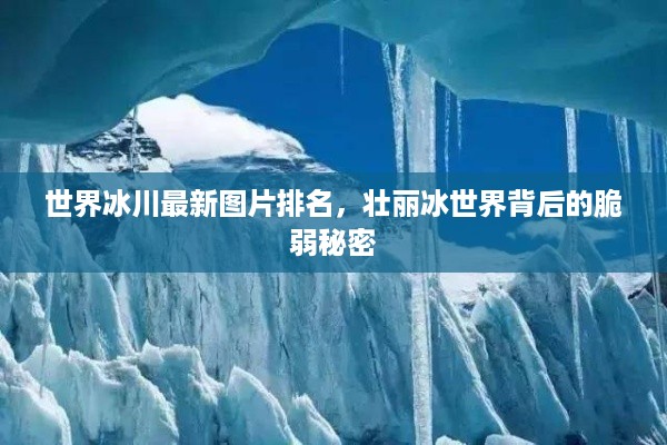 取证 第42页