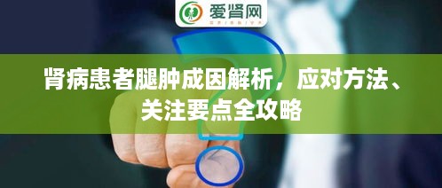 存证 第39页