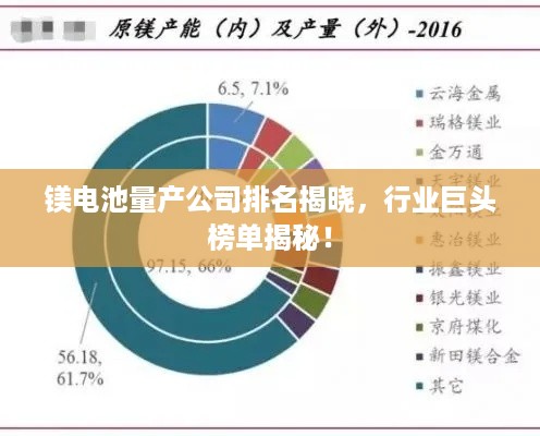 镁电池量产公司排名揭晓，行业巨头榜单揭秘！
