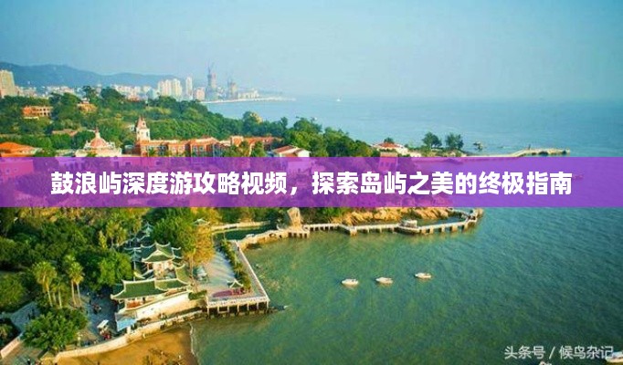 存证 第36页