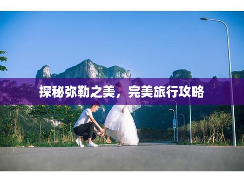 取证 第35页