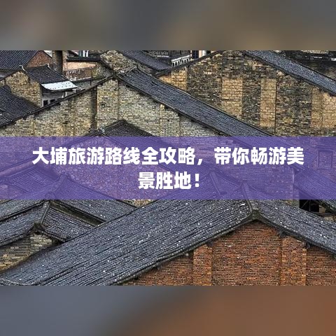 公证管理 第25页