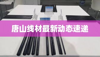 公证管理 第23页