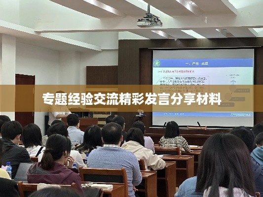 专题经验交流精彩发言分享材料
