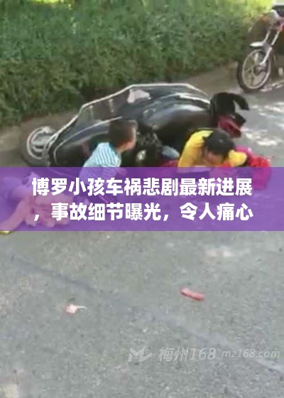 公证管理 第15页