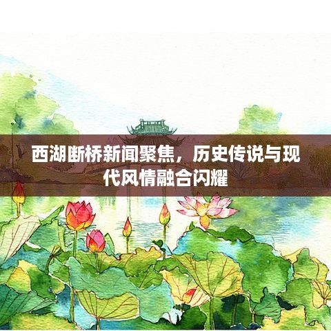 公证管理 第14页