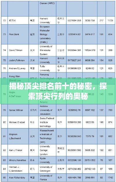 公证管理 第9页