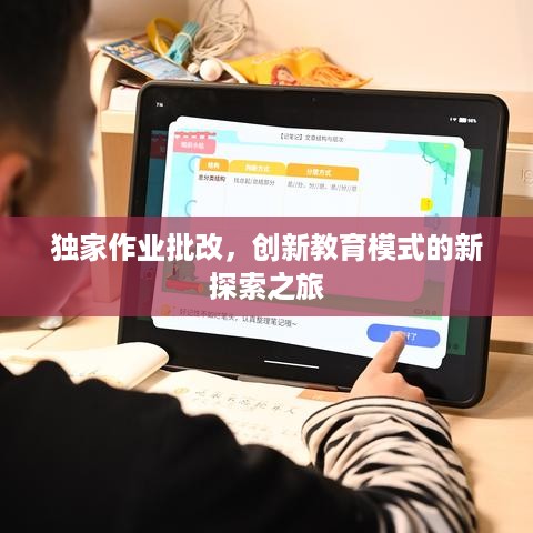 独家作业批改，创新教育模式的新探索之旅