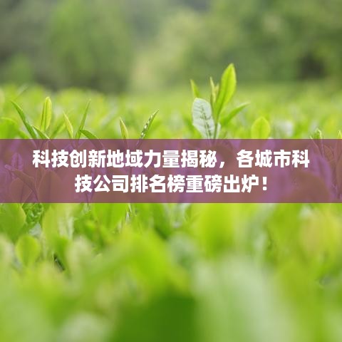 存证 第6页